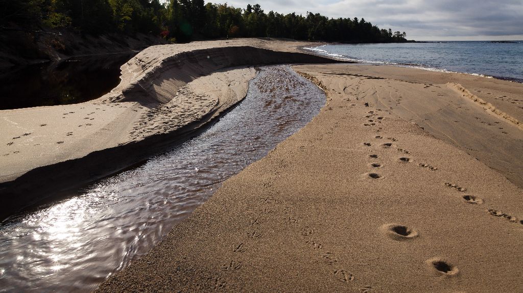 Tracks, Sawpit Bay, Lake Superior, Ontario CA