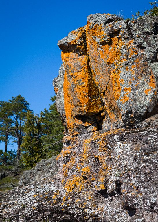 Lichen Covered Rock, Coppermine Point, Lake Superior Canadian Shore