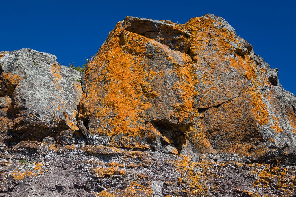 Lichen Covered Rock, Coppermine Point, Lake Superior Canadian Shore